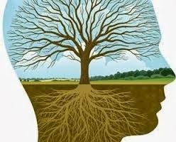 Resultado de imagem para TERAPIA DO ESQUEMA