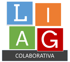 organizer