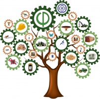 organizer