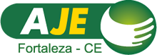 organizer