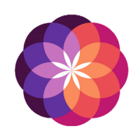 organizer