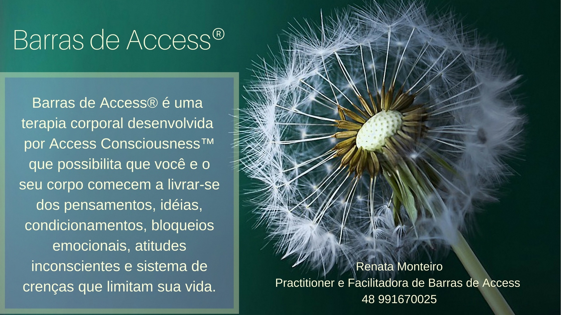 Curso Barras De Access Pdf