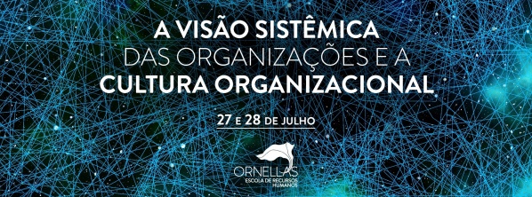 A Visão Sistêmica das Organizações e a Cultura Organizacional em São ...