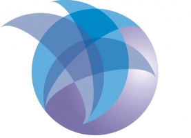 organizer