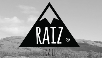 organizer