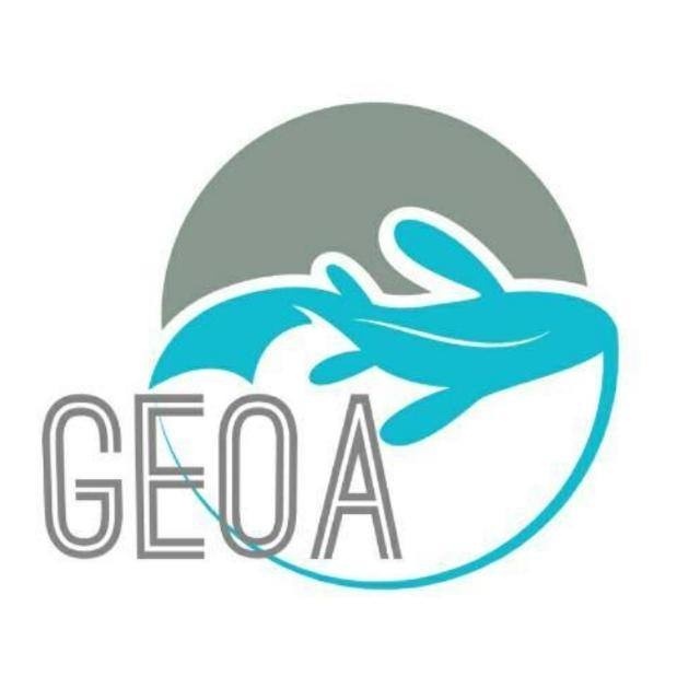 Geoa Anatomia dos Peixes - Prática em Belo Horizonte - Sympla