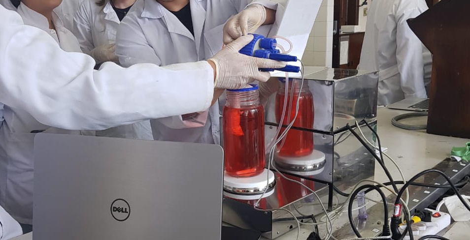 V Curso Em Biorreatores E Engenharia De Tecidos Sympla