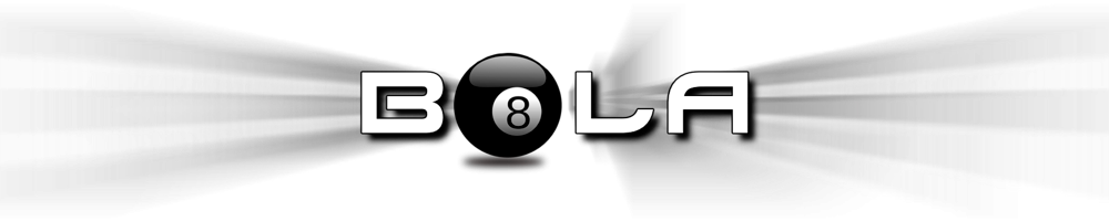 organizer