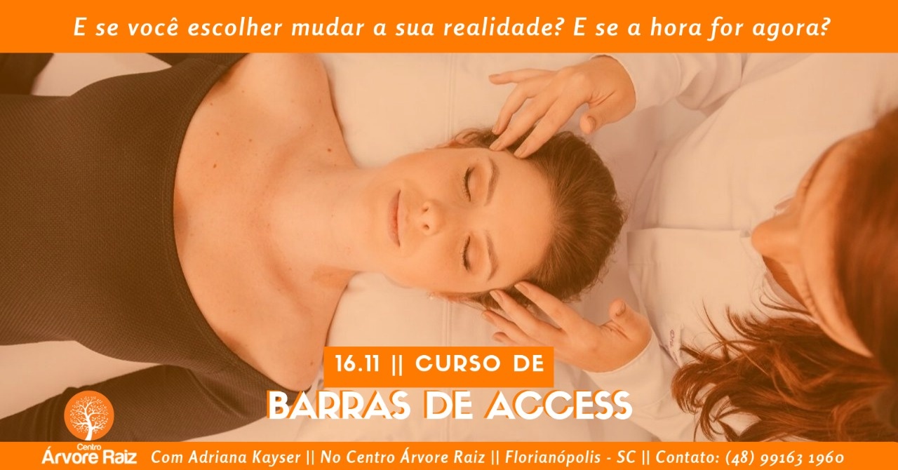 Manual Barras De Access Pdf Gratis