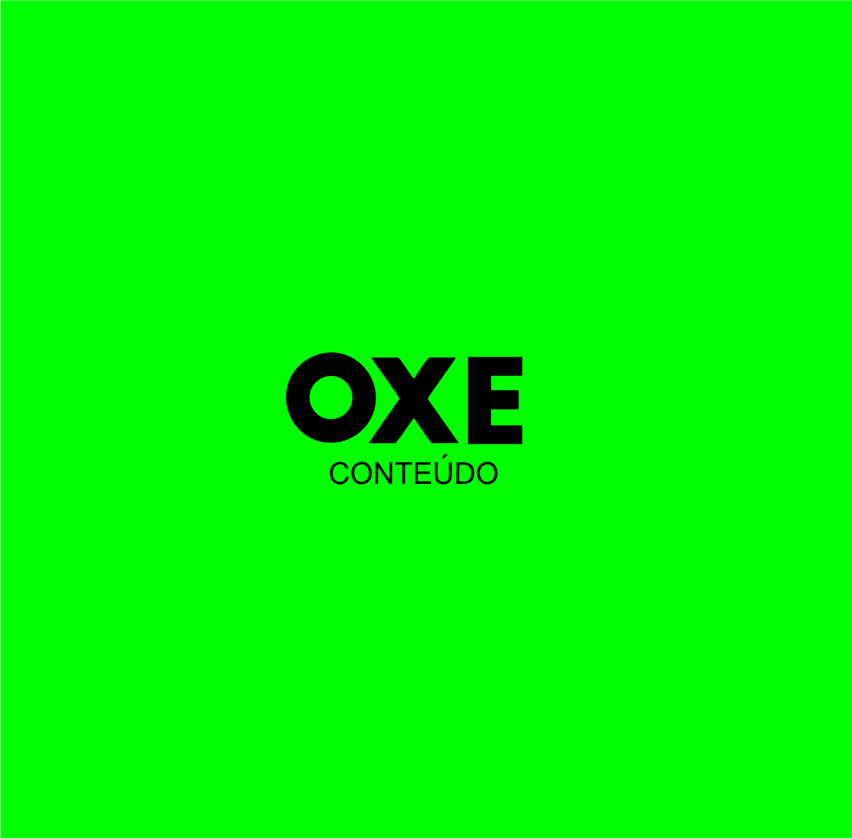 organizer