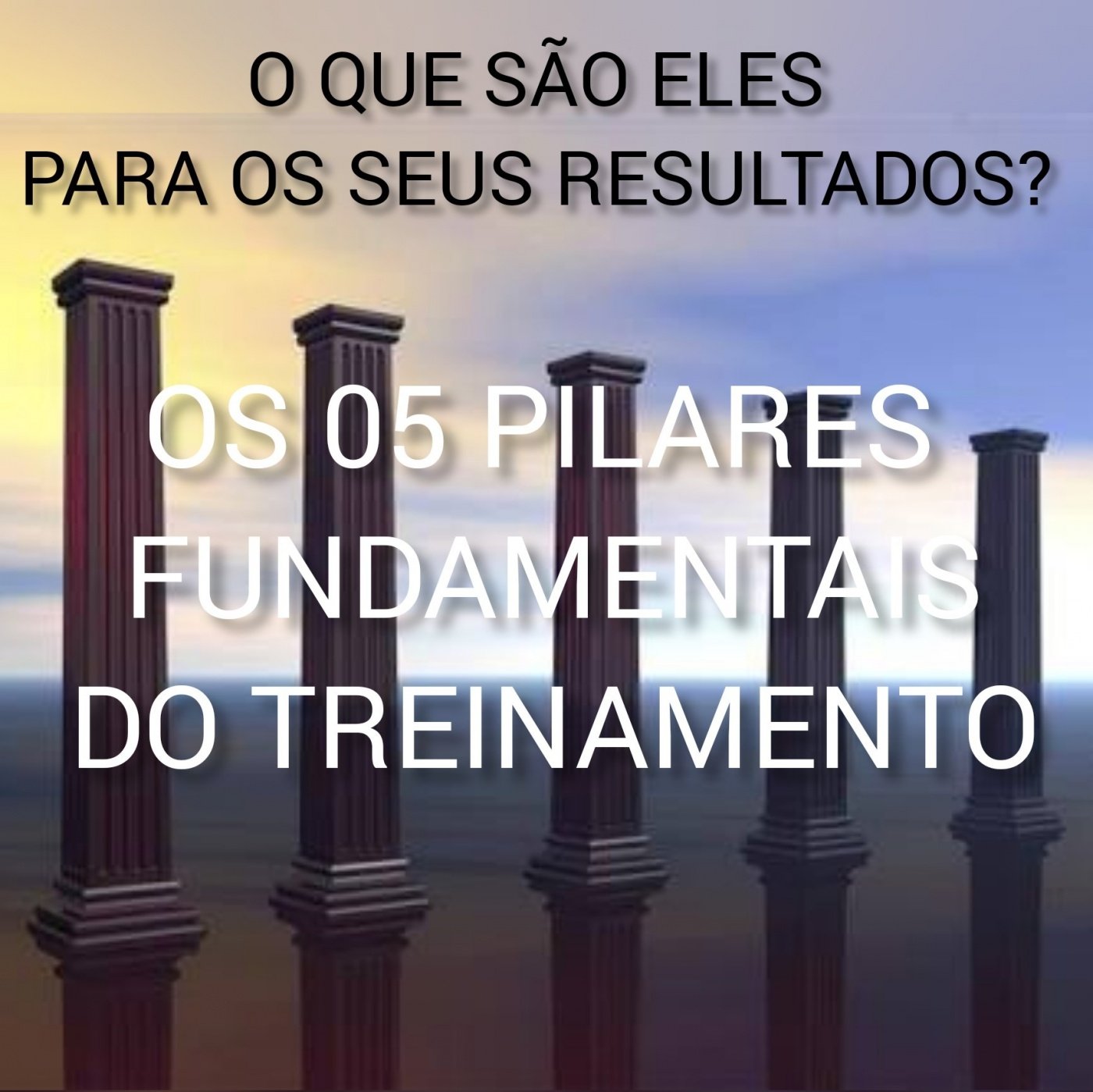 OS 05 PILARES FUNDAMENTAIS DO TREINAMENTO: O QUE SÃO ELES PARA OS SEUS ...