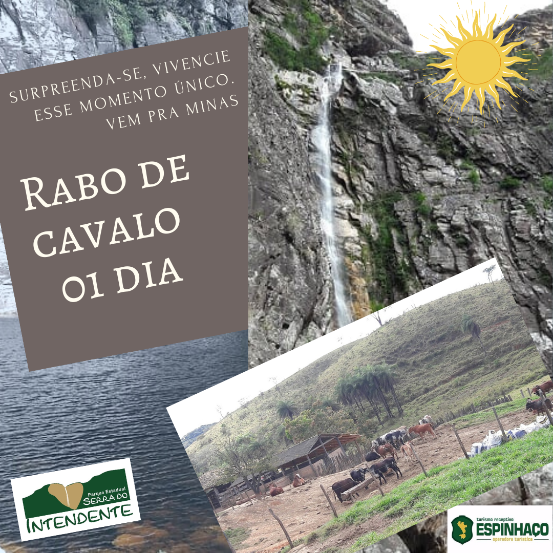 Cachoeira Rabo de Cavalo + Fazenda de Queijo 01 dia