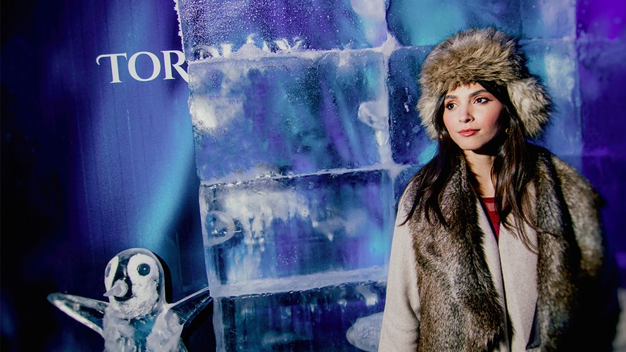 Ice Bar Torquay | Março 2026 - Ingresso Individual - São Roque, SP