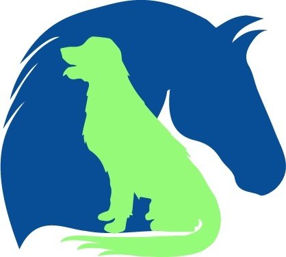 Apresentação Processo Trainee VETUS online Sympla