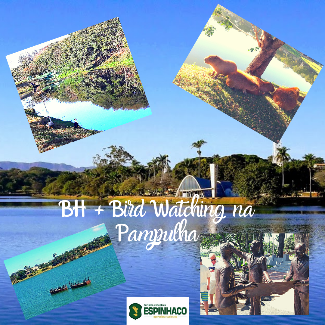 BH + Bird Watching Pampulha 01 dia