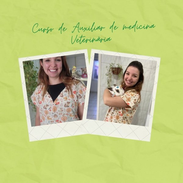 Imagem do evento Curso de Auxiliar de Medicina Veterinária 100% online