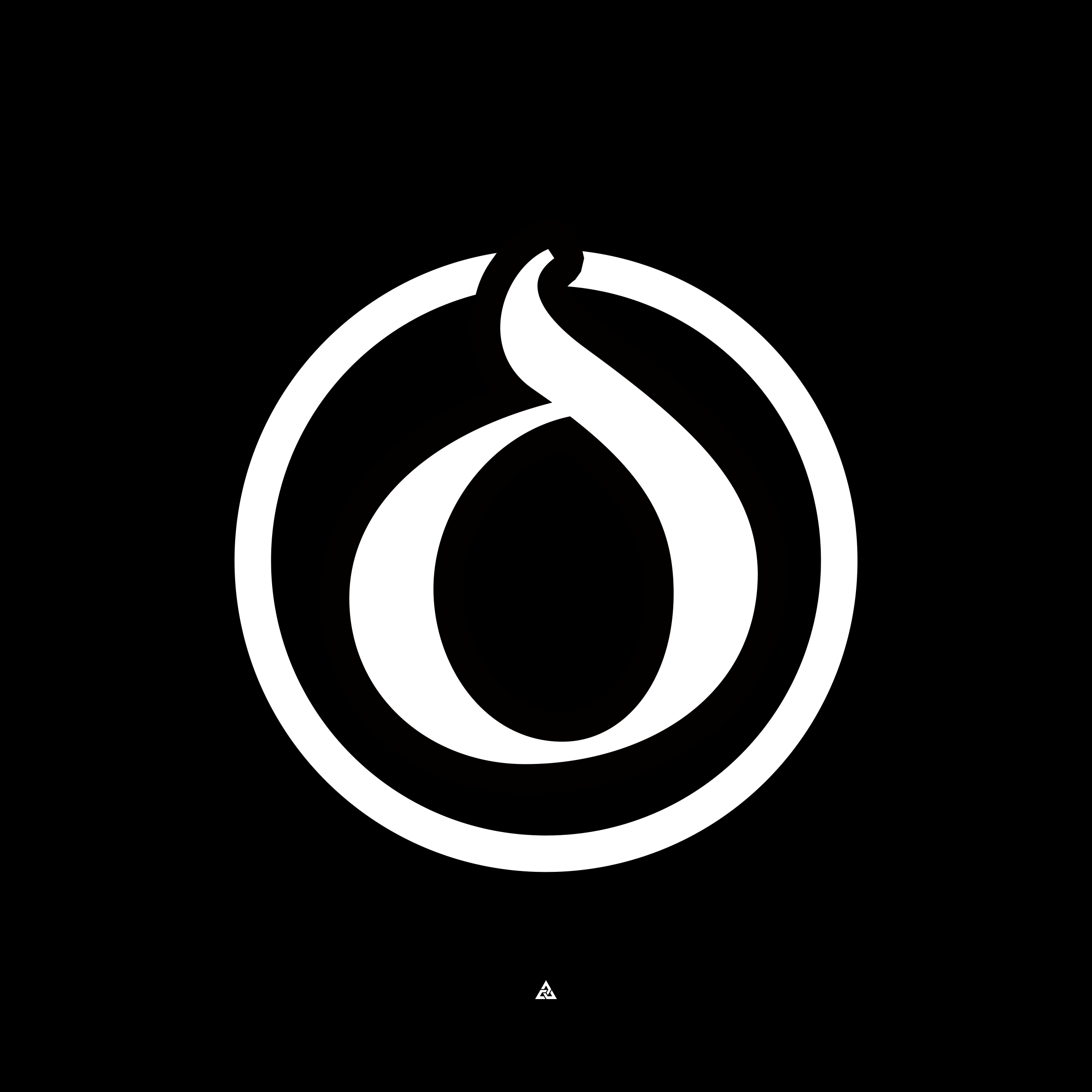 organizer