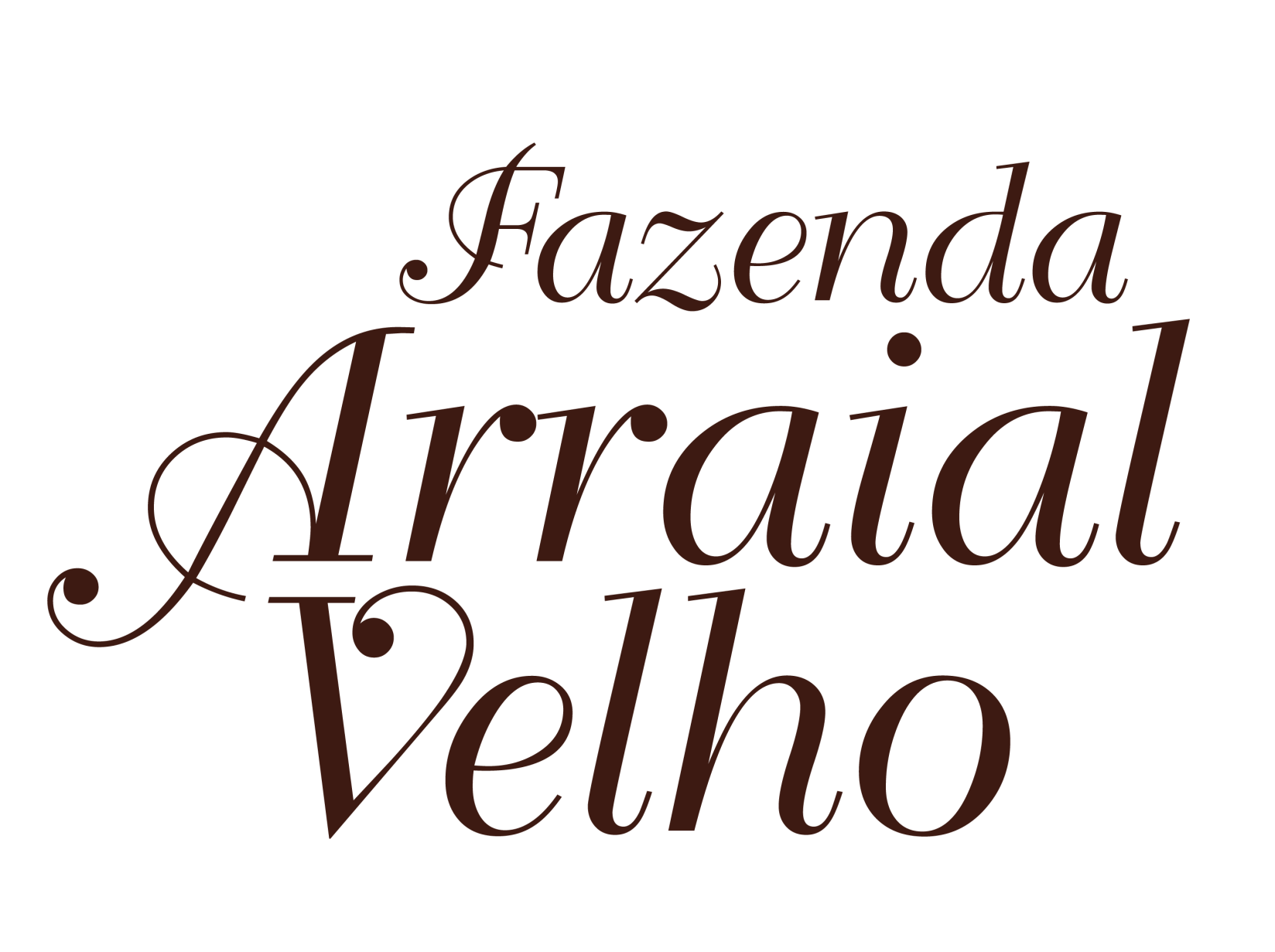organizer
