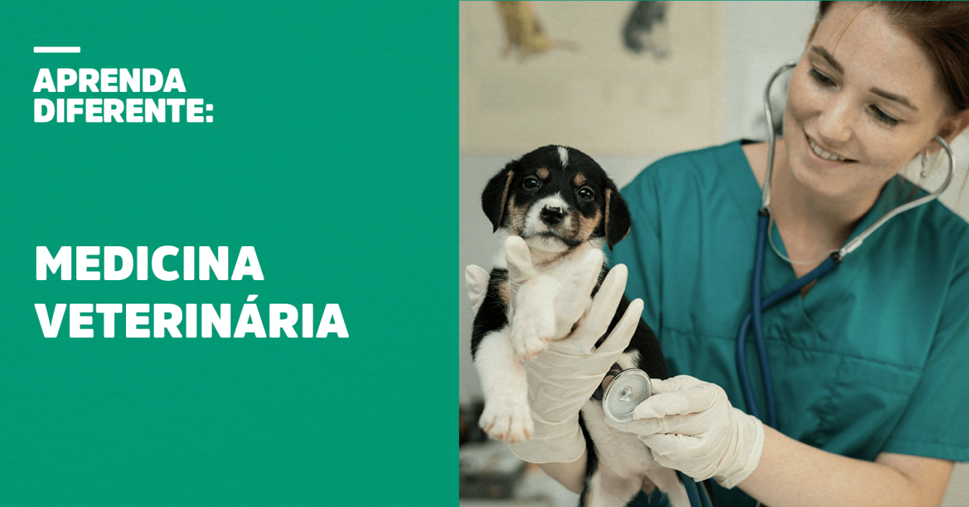 Live - Medicina Veterinária - Anhembi Morumbi - online - Sympla