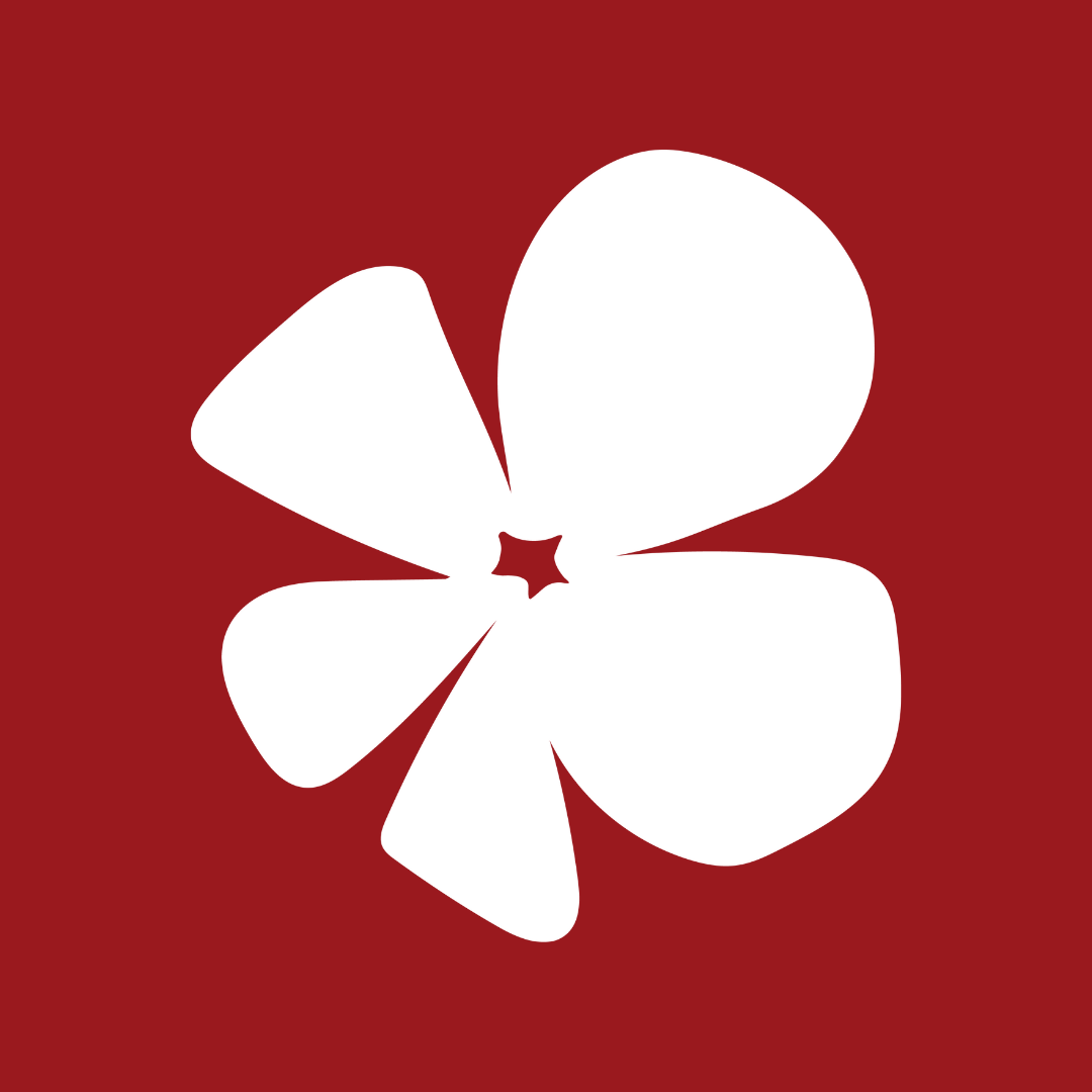 organizer