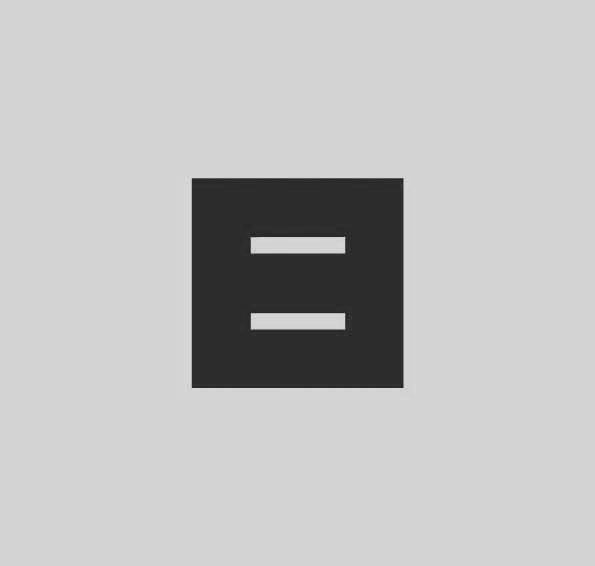 organizer
