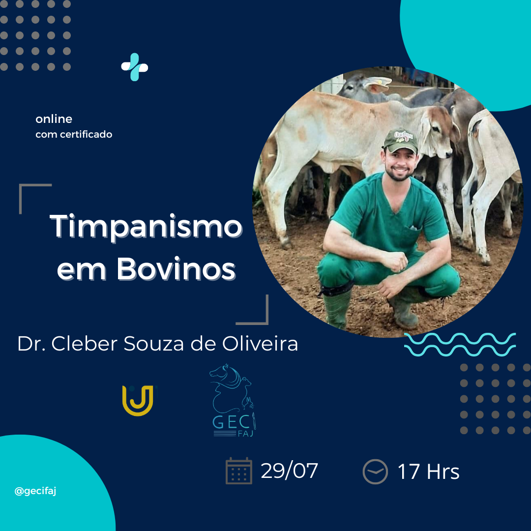 TIMPANISMO EM BOVINOS Palestra Gecifaj (cirurgia veterinária