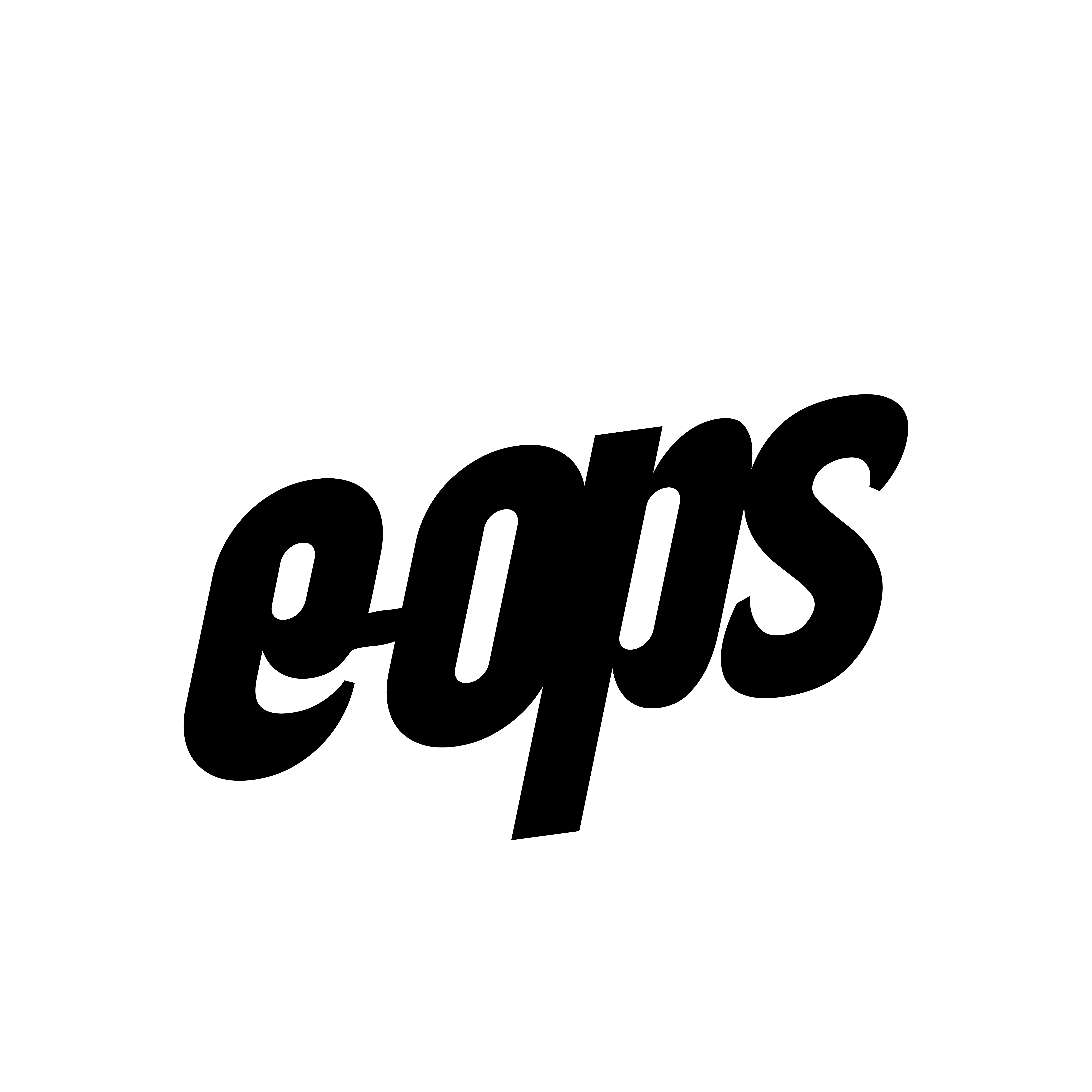 organizer