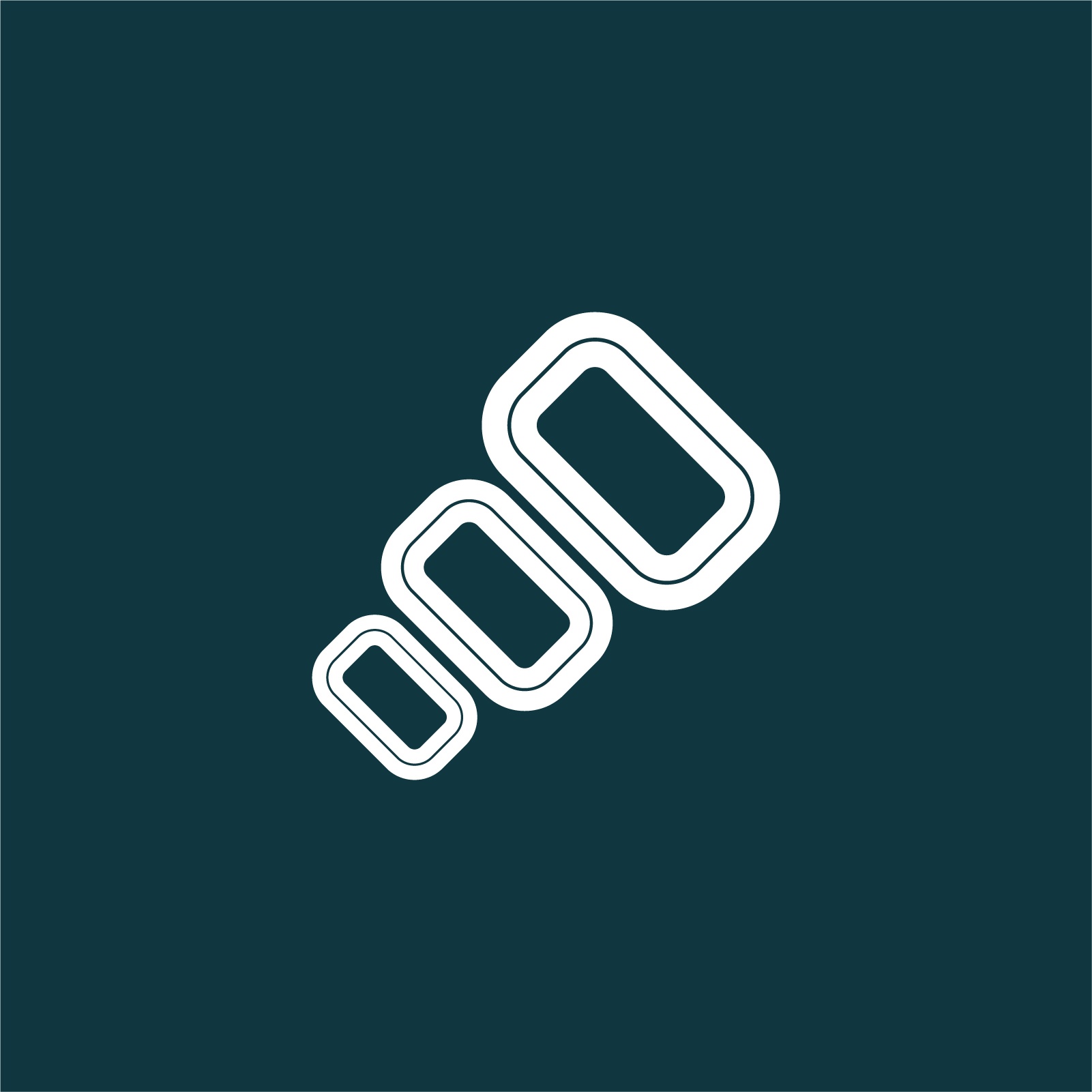 organizer
