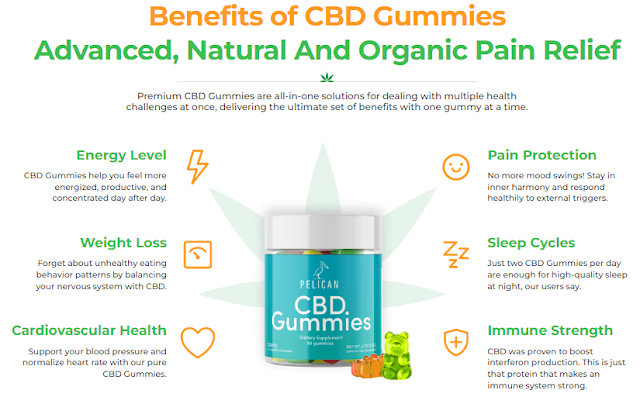 Terry Bradshaw CBD Gummies Reviews Scam Exposed 2023! Is It Scam Or Legitimate?