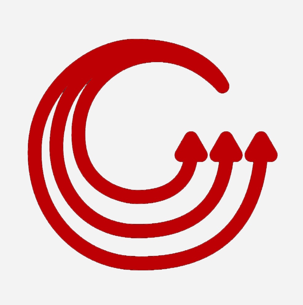 organizer