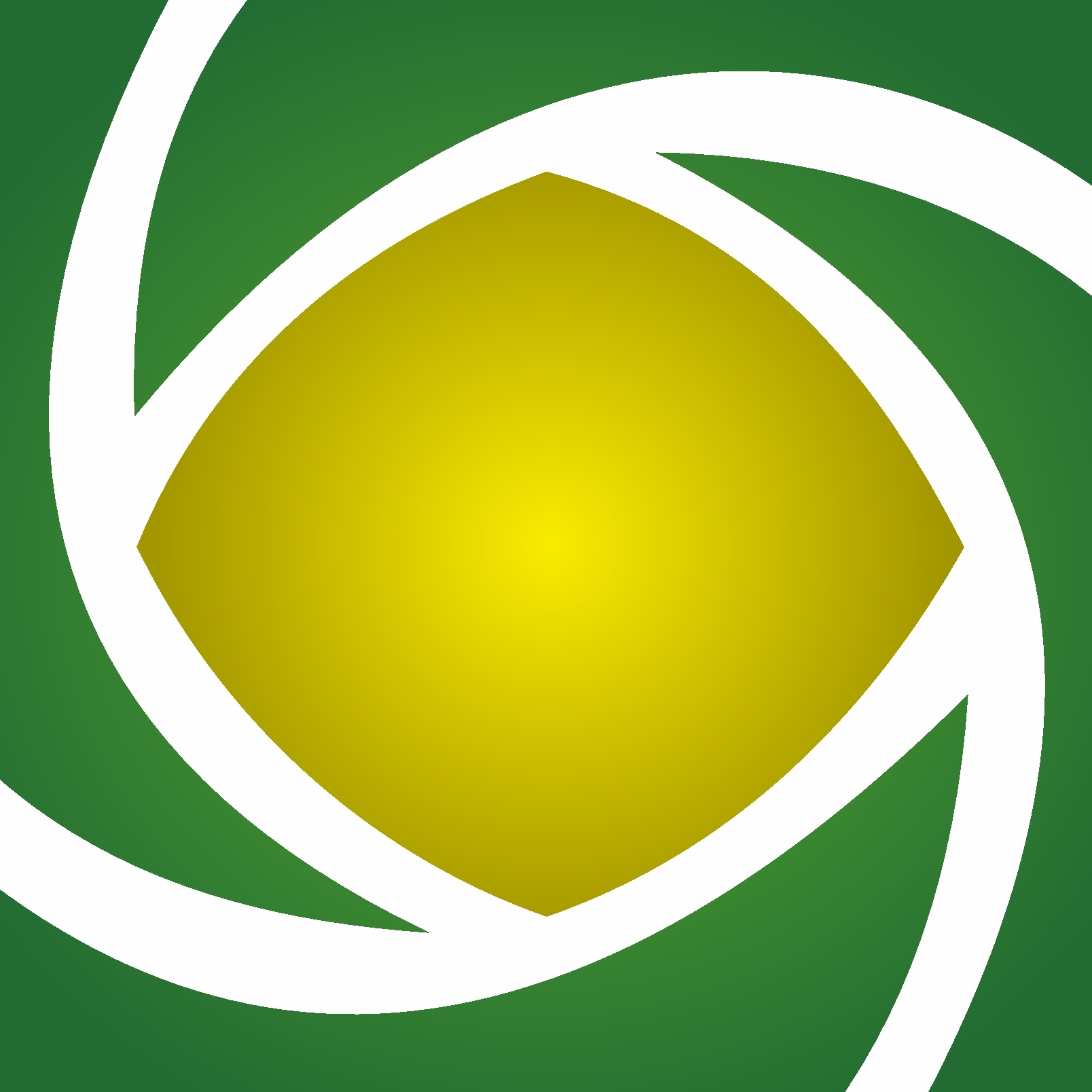 organizer