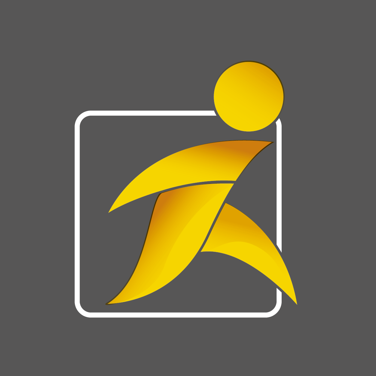 organizer