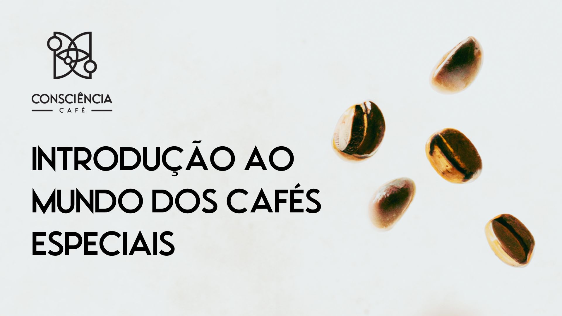 Introdução ao Mundo dos Cafés Especiais