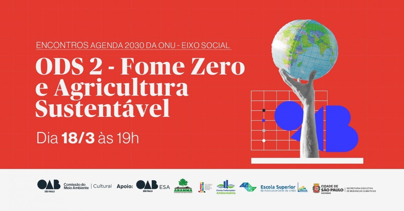 ENCONTROS AGENDA 2030 DA ONU EIXO SOCIAL - online - Sympla