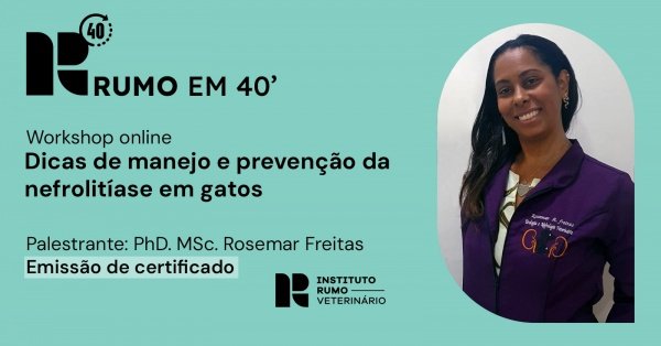 Imagem do evento Dicas de Manejo e Prevenção da Nefrolitíase em Gatos