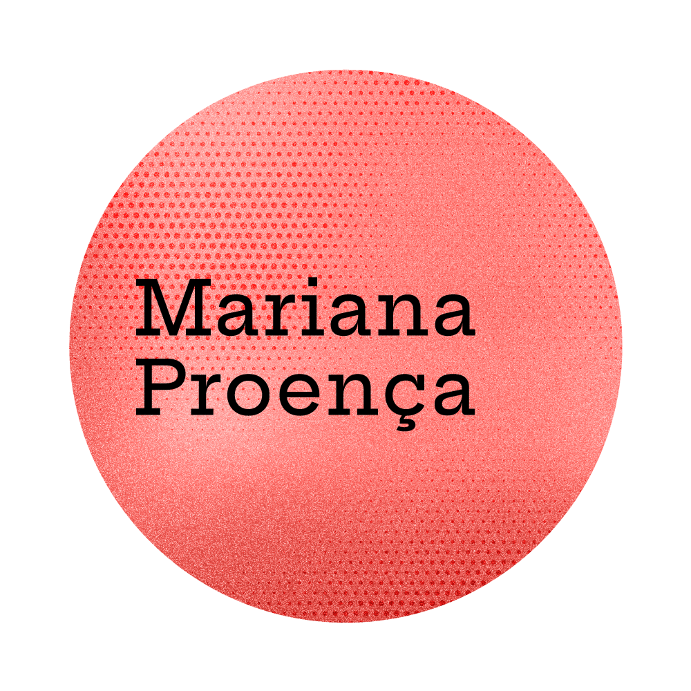organizer