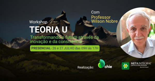 Workshop Teoria U_ Transformando o futuro através da inovação e da ...