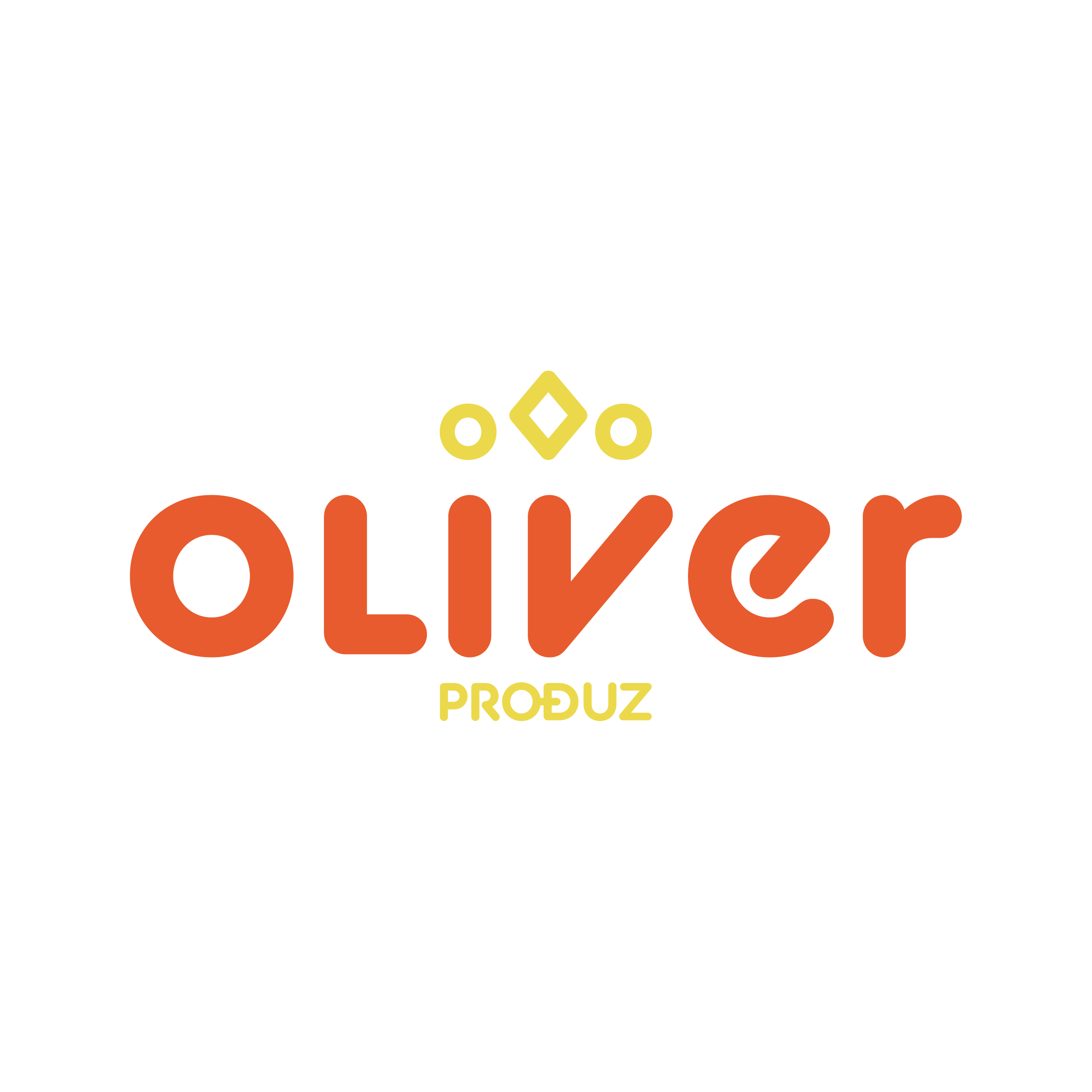 organizer