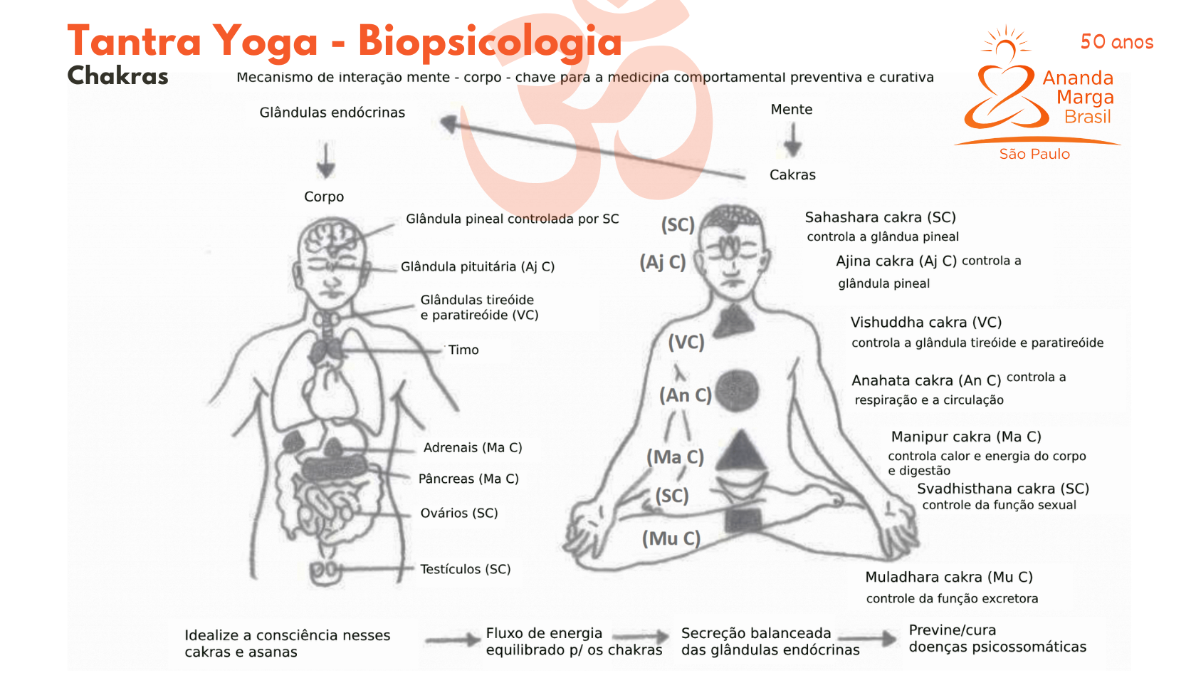 Aulão de Tantra Yoga em São Paulo - Sympla