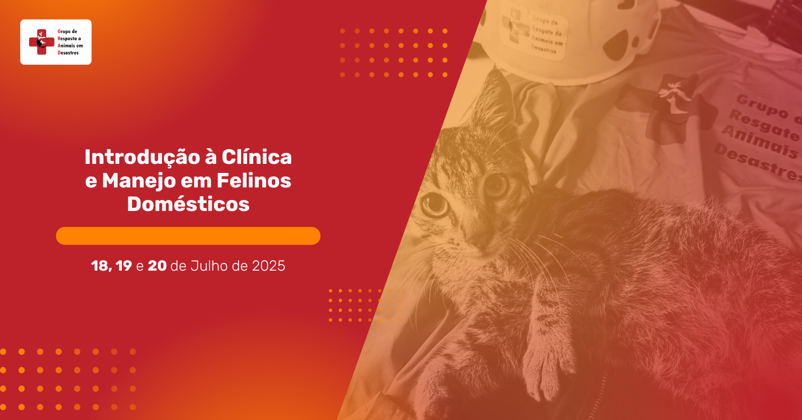 Introdução a Clínica e Manejo em Felinos Domésticos.