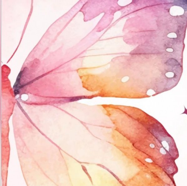 Banner LUCRO ROSA 3