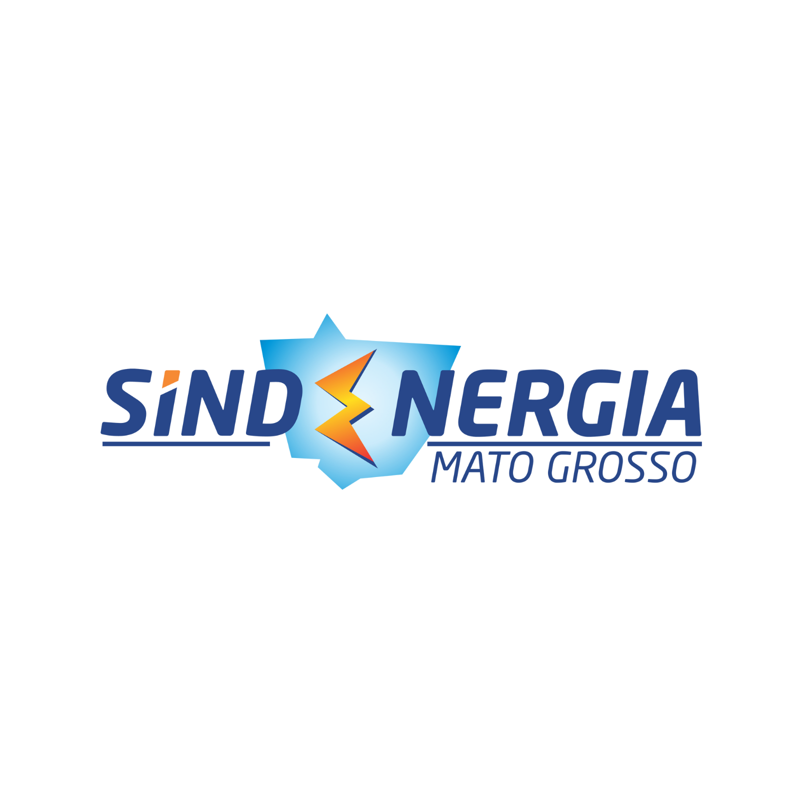 organizer