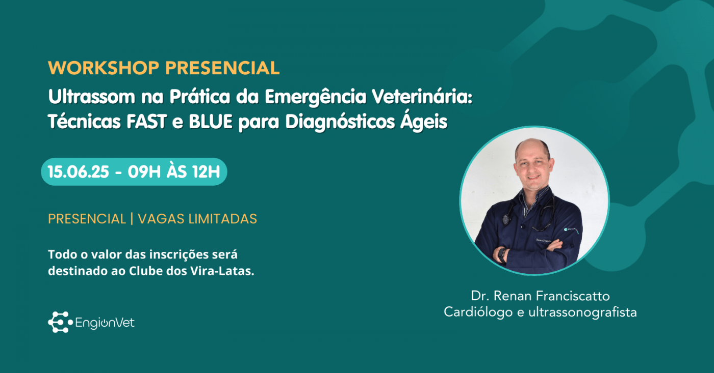 Ultrassom na Prática da Emergência Veterinária: Técnicas FAST e BLUE ...