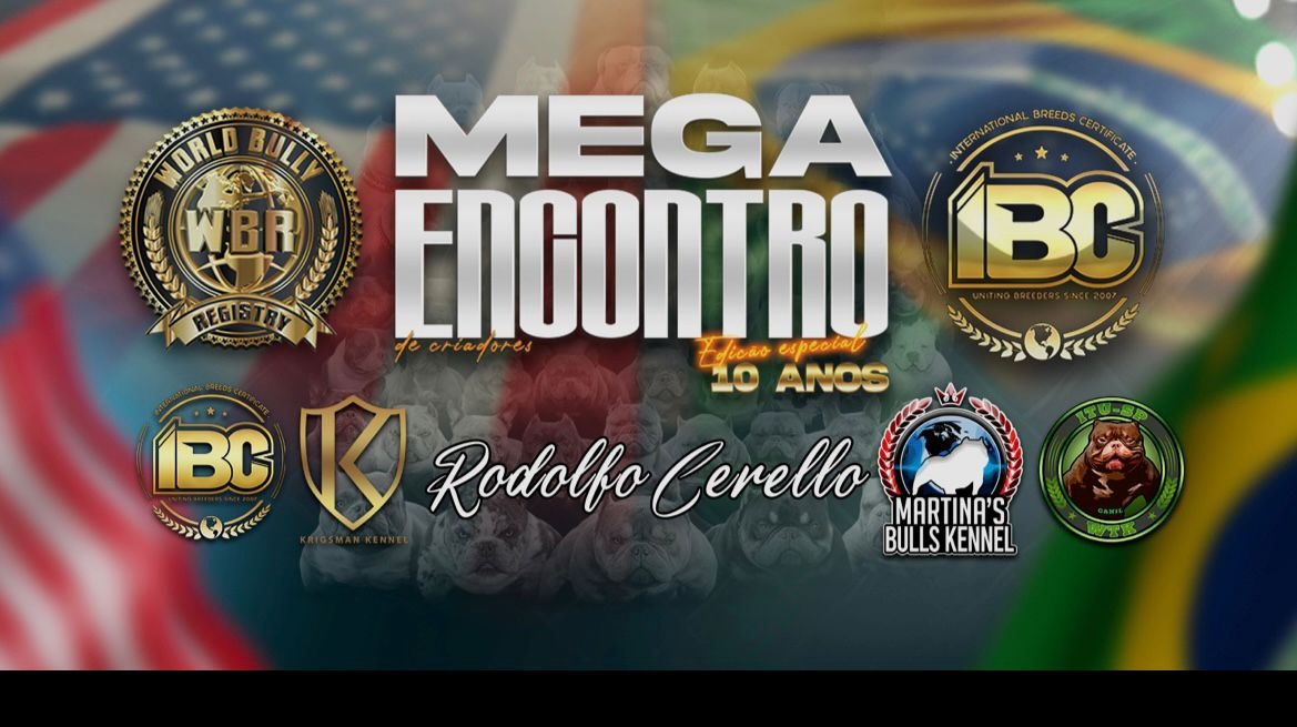 Mega Encontro de Criadores - Edição Especial 10 Anos!