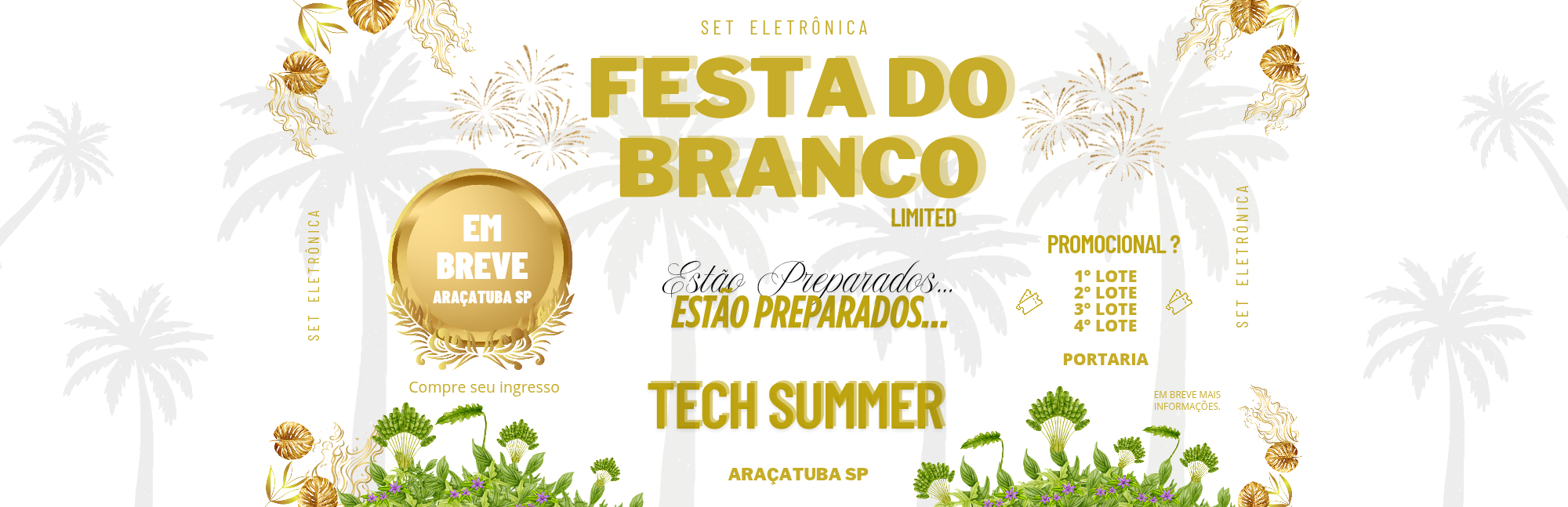 Capa do evento: FESTA DO BRANGO / TECH SUMMER