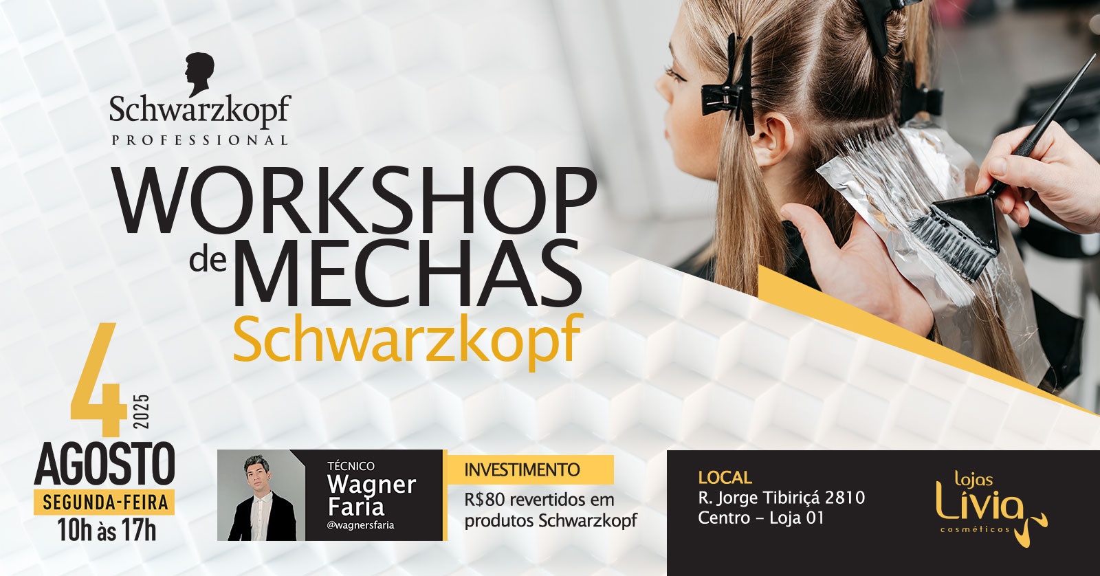 WORKSHOP DE MECHAS SCHWARZKOPF
