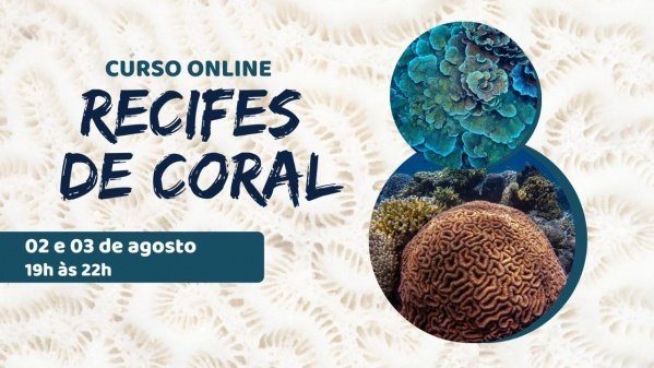 Imagem do evento Curso online: Recifes de coral