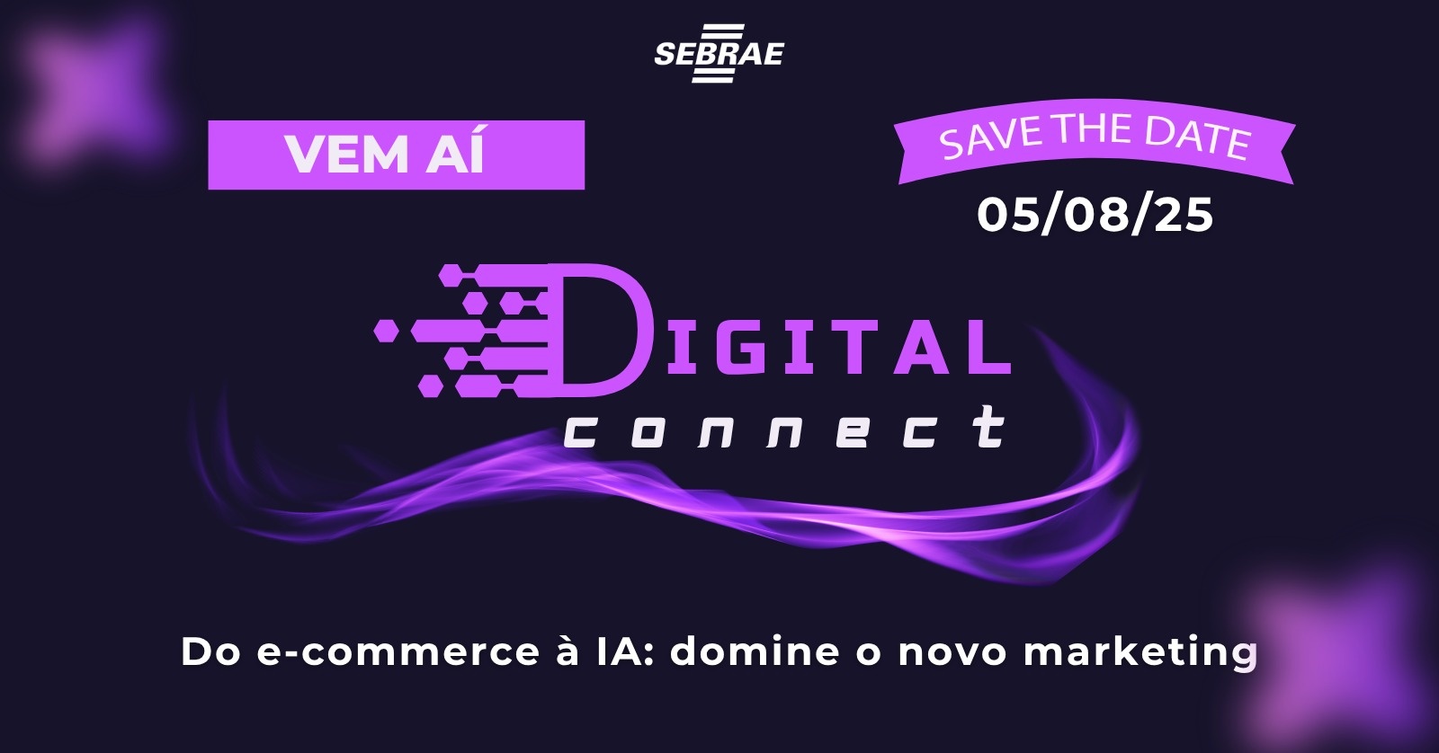 Sebrae Digital Connect 