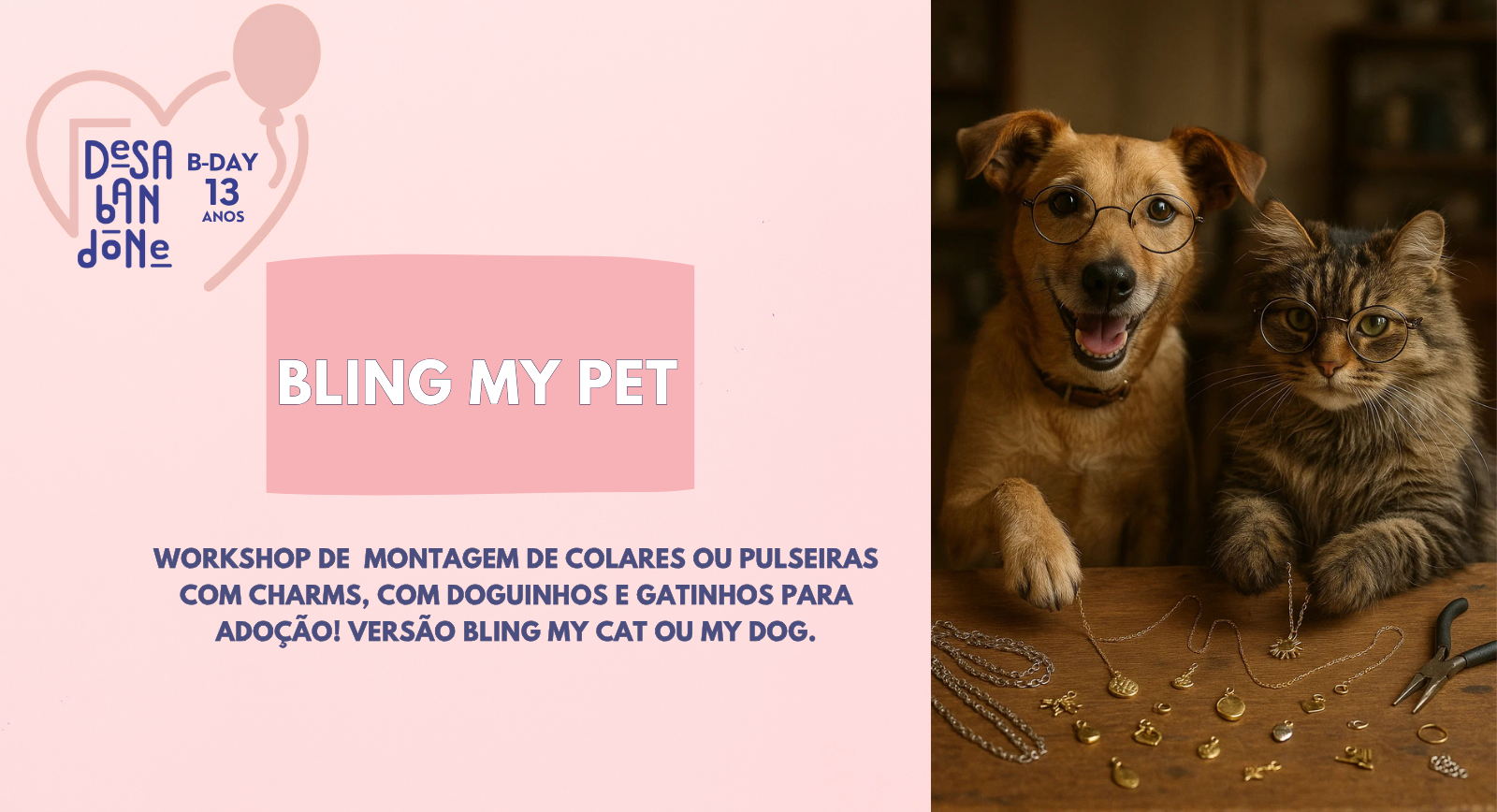 DESABANDONE B-DAY 13 ANOS - BLING MY PET COM OS RESGATADOS 19/07 e 20/07