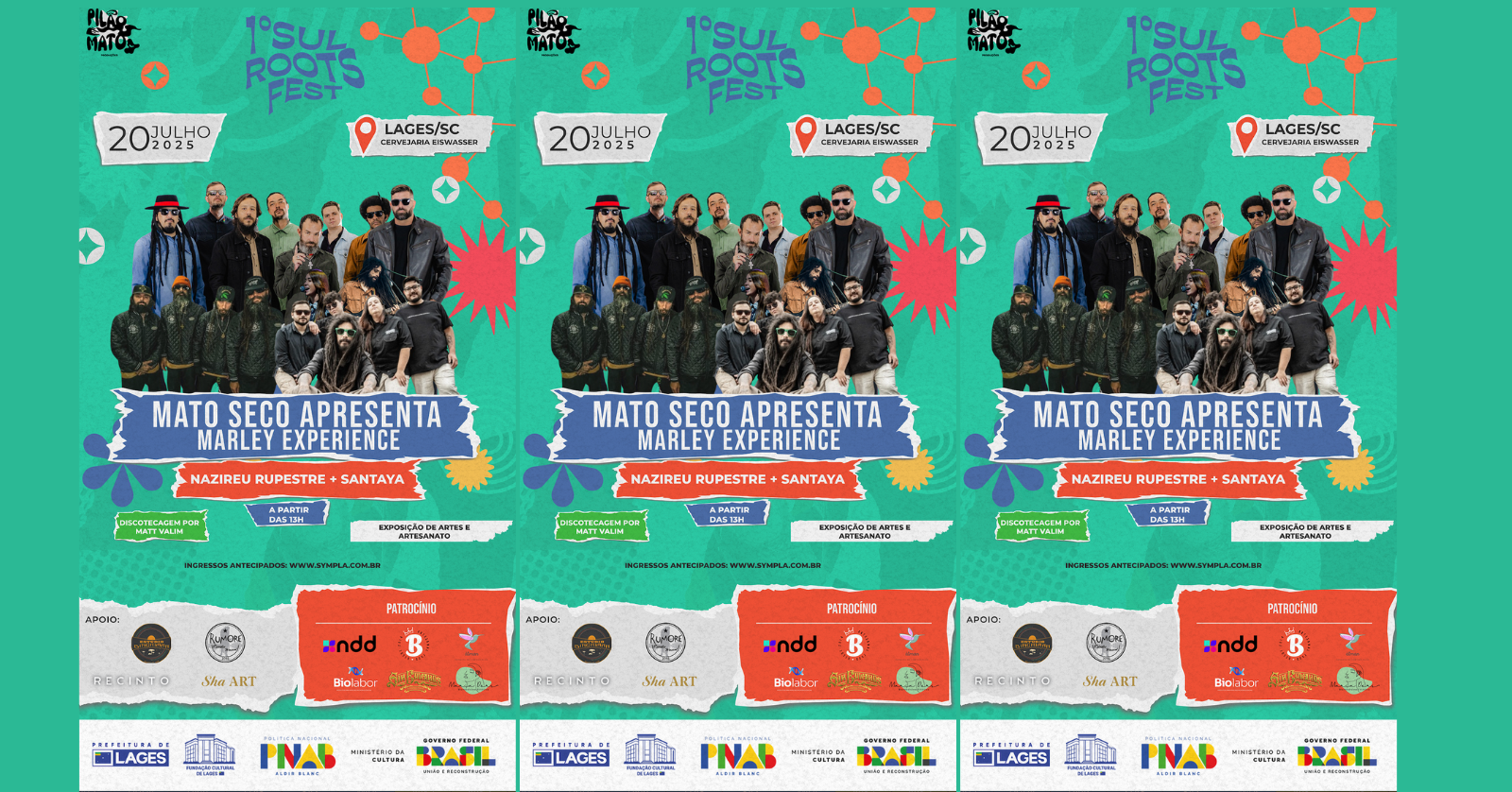 Sul Roots Festival em Lages